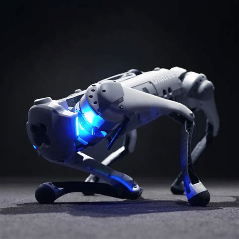 Unitree GO1 at MG Super Labs India