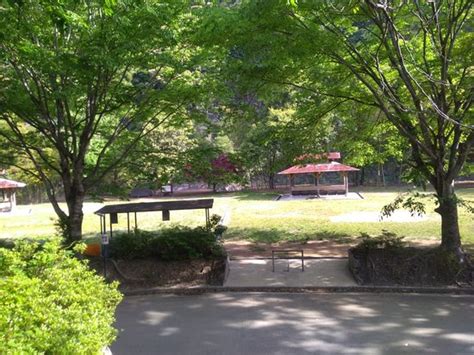 KAWAYU CAMP FIELD KODAMANOSATO (Tanabe, Wakayama Prefecture ...