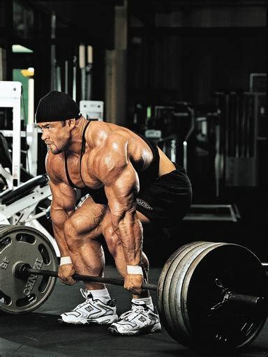 Image result for Triangle Back Bodybuilding