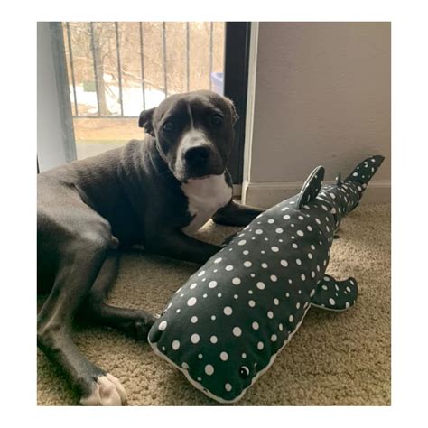 Snuggle Puppy Tender-Tuffs Extra Large Plush Dog | Ubuy India