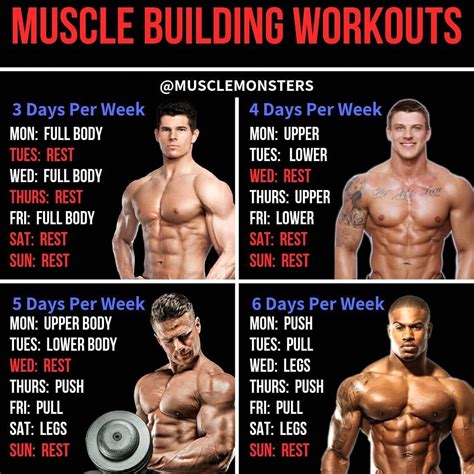 Full Body Workout 5 Days A Week Plan
