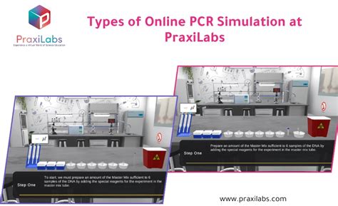 Virtual PCR Simulator 的图像结果