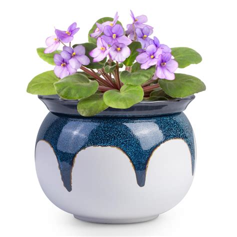 Violet African Violet Pots