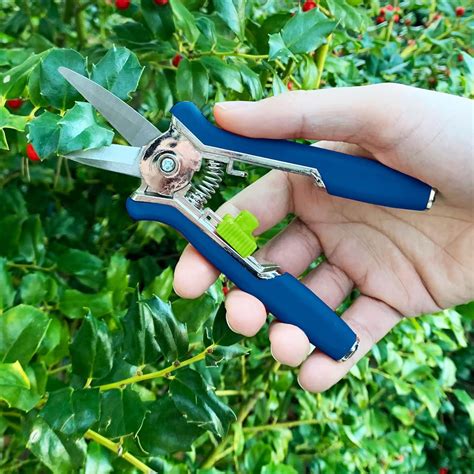 Precision Micro Garden Snip Pruning Scissor– Natation.in