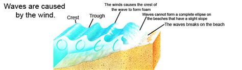 The Sea's Characteristics
