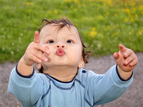 El desarrollo de tu bebé de 8 meses | BabyCenter