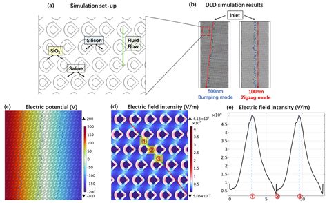 A Novel Microfluidic Strategy for Efficient Exosome Separation via ...