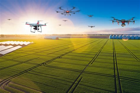 CroplyAI - Agricultural Intelligence Platform