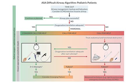 Airway Management Anesthesia Education at Terry Haskell blog