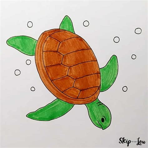 50+ Things to Draw With Step by Step Guides | Skip To My Lou | Turtle ...