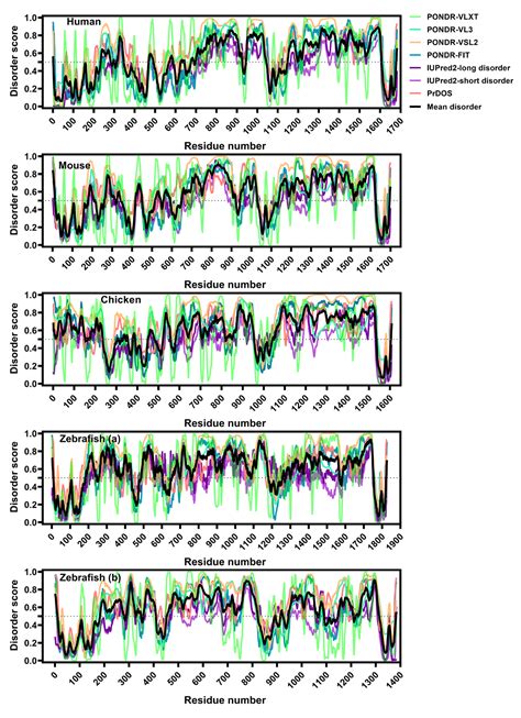 New Findings on LMO7 Transcripts, Proteins and Regulatory Regions in ...