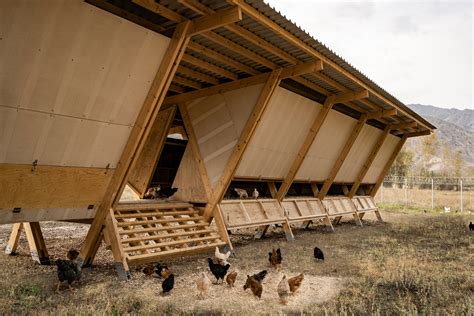 Industrial Chicken Houses at Robin Clark blog