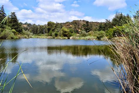 The Best LA Hiking Trails That Aren't Crowded With People