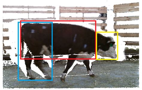 Live Weight Prediction of Cattle Based on Deep Regression of RGB-D Images