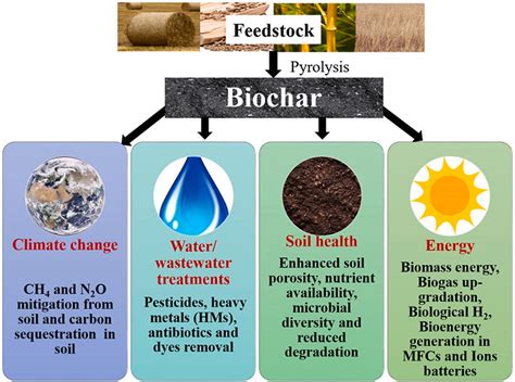 Biochar Application to Improve Soil Quality - Urban plants - Urban Plants™