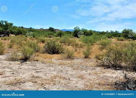 Desert Landscape Scenery Located in Cochise County, Saint David ...