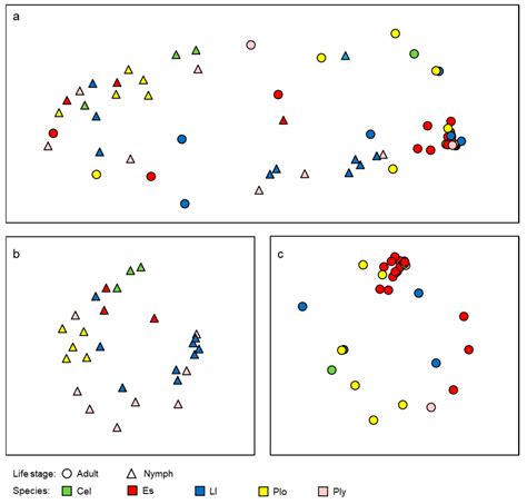 Effects of Life Stage, Site, and Species on the Dragonfly Gut Microbiome