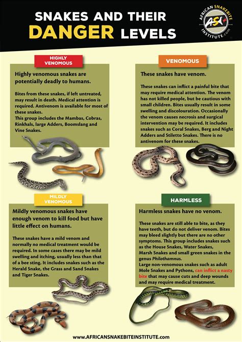 Snakes and the danger levels assigned to them - African Snakebite Institute