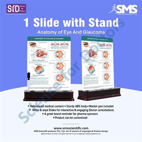 Anatomy of Eye and Glaucoma - 1 Slide With Stand – SMS Scientific ...