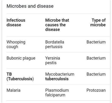 D).Long answers:1) What is a microorganism?2) What happens to dough ...