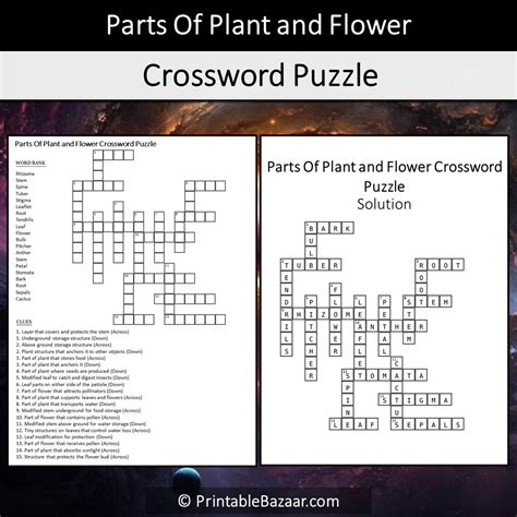 Long Part Of A Flower Crossword Clue | Best Flower Site