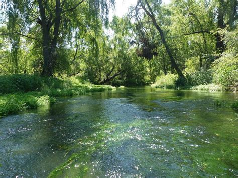 Image result for Letort Spring Run