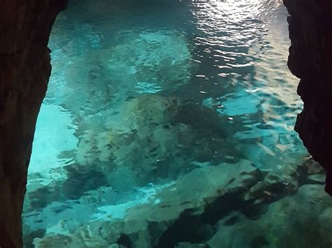 GABO THE GUIDE (2026) All You Need to Know BEFORE You Go (w/ Reviews ...