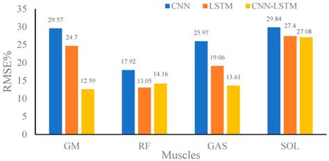 Estimation of Muscle Forces of Lower Limbs Based on CNN–LSTM Neural ...