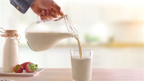5 Simple Home Tests to check adulterated milk – Sid's Farm