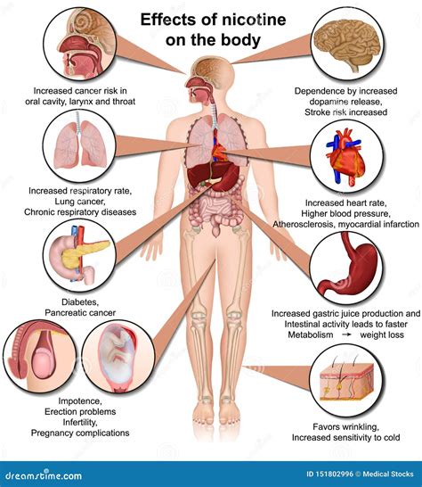 Beyond The Buzz: The Real Negative Effects Of Nicotine On The Body