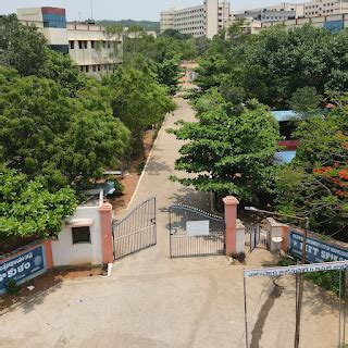 Rajiv Gandhi University of Knowledge Technologies - Srikakulam