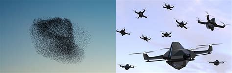 Image result for What Is Polymorphism in Java