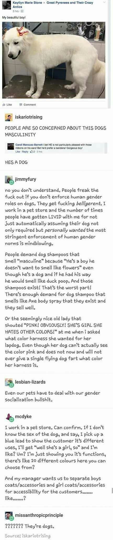 Pin by Linda Leavitt on Adult Side of Tumblr/Facebook/Etc | Funny ...