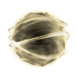 Thrax Plasm | WARFRAME Wiki | Fandom