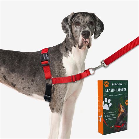 Amazon.com : PETILUCK Premium No-Pull Dog Harness with Leash ...