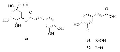 The Genus Cladosporium: A Rich Source of Diverse and Bioactive Natural ...