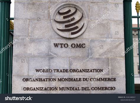 WTO 的图像结果