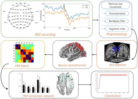 Exploring the Functional Brain Network of Deception in Source-Level EEG ...