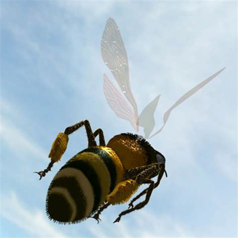 Image result for Max Bee Control Line