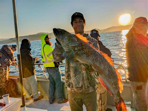 Tradewinds Charters 的图像结果