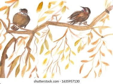 Image result for DDR Extreme Memory Card