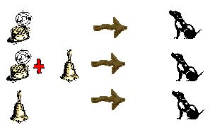 Behaviorism 的图像结果