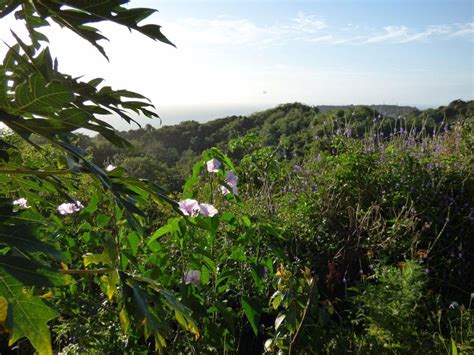 THE BEST Places to Visit in Mason Hall (2026) - Must-See Attractions