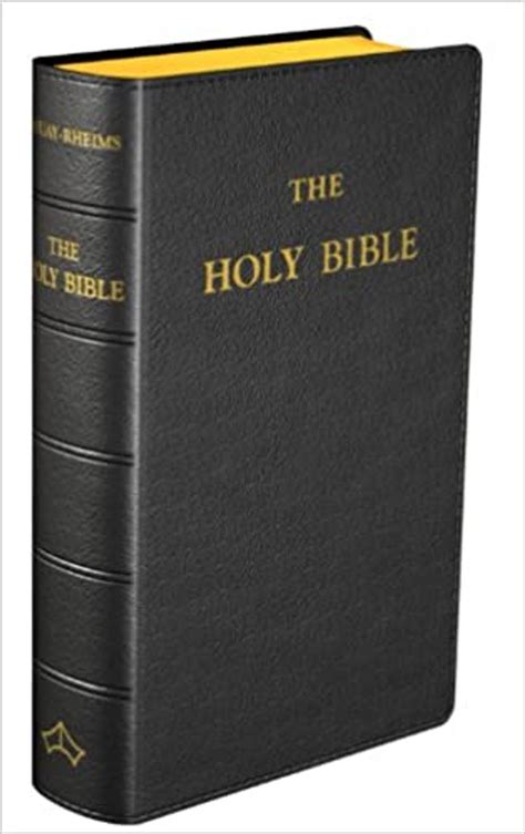 Image result for Holy Bible Douay-Rheims
