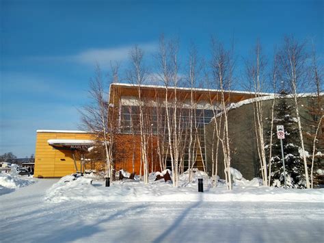 25 Unique Things to do in Fairbanks Alaska - Ordinary Adventures
