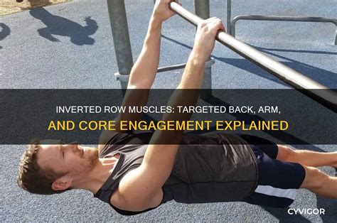 Image result for Inverted Row Muscles