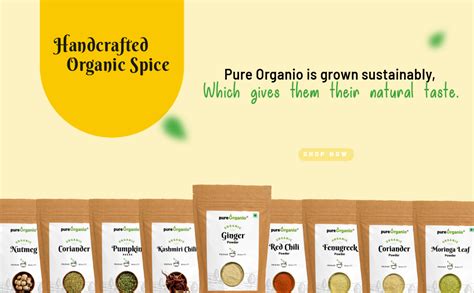 Pure Organio Ginger Powder Organic Dry Ginger Powder Saunth Ground ...