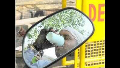 Milk prices hiked? This Kutch village can’t care less | Ahmedabad News ...