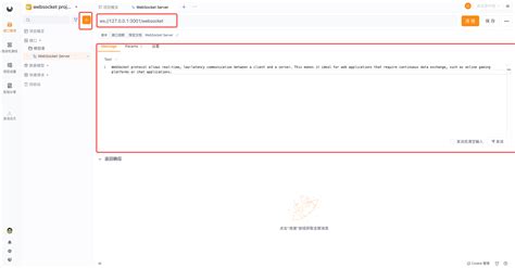WebSocket API 的图像结果