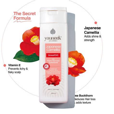 Japanese Camellia Shampoo | Sulfate-Free Anti-Dandruff Shampoo